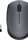 Logitech M170 910-004642 Wireless Optik Mouse