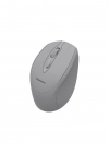 CLASSONE CBT14 OPTİK KABLOSUZ MOUSE