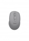 CLASSONE CBT14 OPTİK KABLOSUZ MOUSE