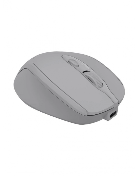 CLASSONE CBT14 OPTİK KABLOSUZ MOUSE