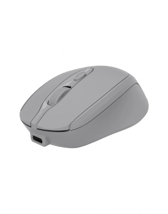 CLASSONE CBT14 OPTİK KABLOSUZ MOUSE