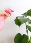 Corcoz® Çok Amaçlı Fısfıs Çiçek Sulama Plastik Su Sprey Şişesi 700 ml TP-219