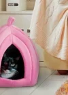 Corcoz® Pet Hut Polar Kedi ve Köpek Yatağı - Mavi