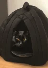 Corcoz® Pet Hut Polar Kedi ve Köpek Yatağı - Mavi