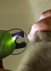 Phipcase Entegre Led Aydınlatmalı Törpü Detaylı Kedi Köpek Tırnak Makası - PH047