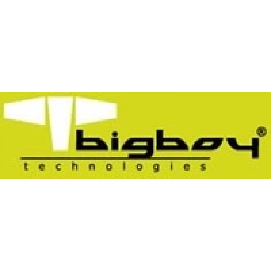 BIGBOY BTS432/32g 32GB DDR4 3200MHz CL22 Registered ECC SERVER MEMORY
