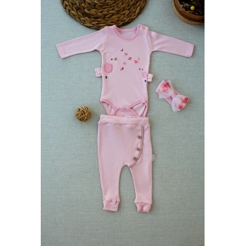 3-6 6-9 9-12 Ay Şarkıcı Kuşlar Nakışlı Bandanalı Uzun Kollu Zıbınlı 3lü Kız Bebek Takımı Pembe