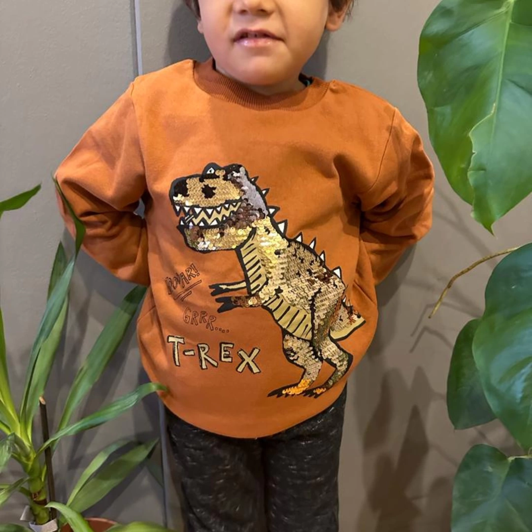 T-Rex Pullu Dinozorlu Sweatshirt