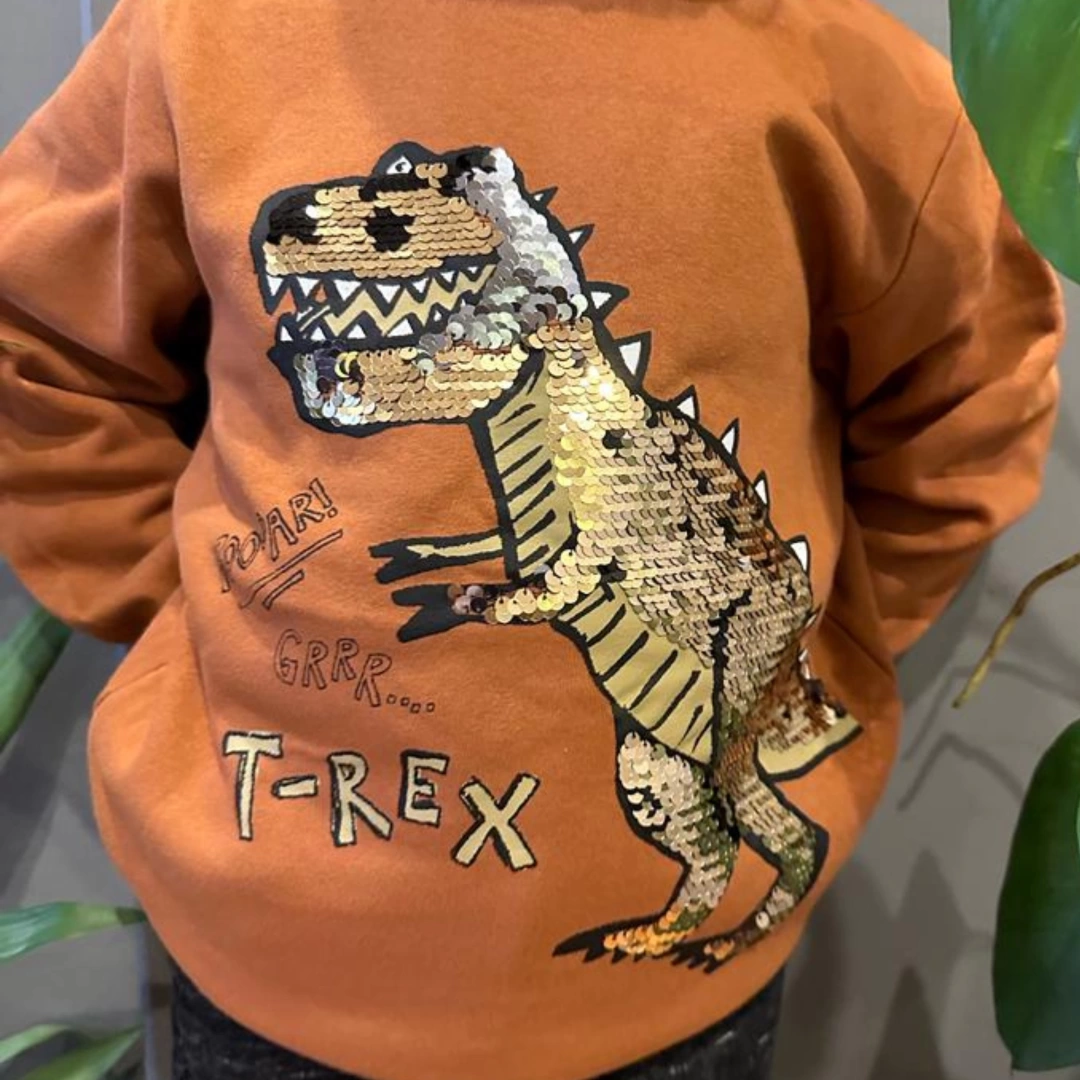 T-Rex Pullu Dinozorlu Sweatshirt