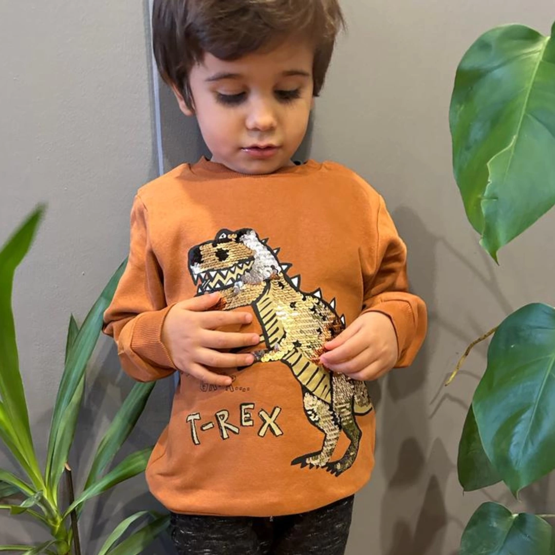 T-Rex Pullu Dinozorlu Sweatshirt