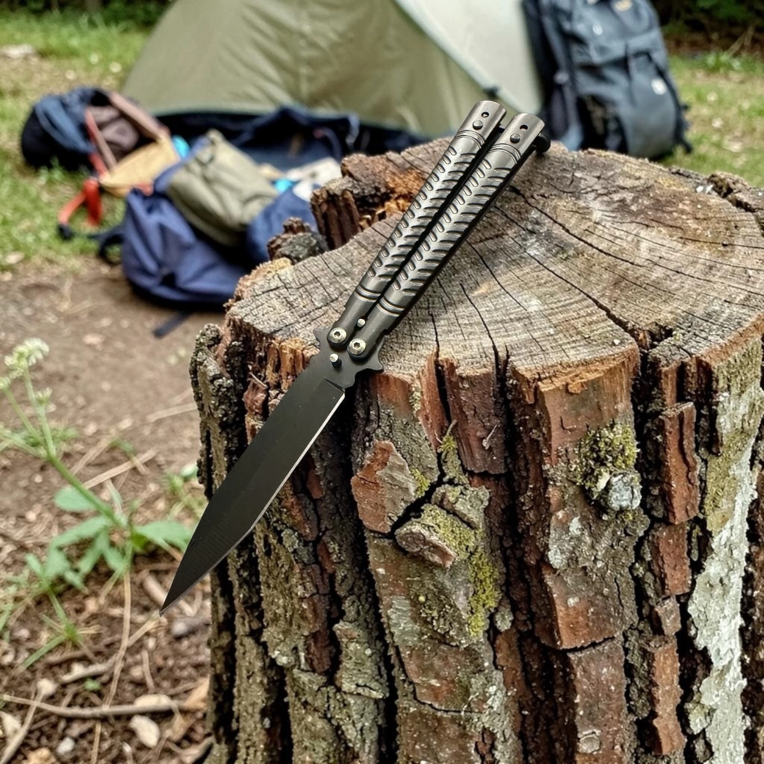 KELEBEK