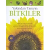Bitkiler - Yakından Tanıyın