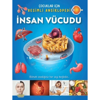 İnsan Vücudu - Çocuklar İçin Resimli Ansiklopedi