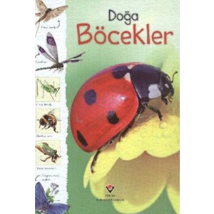 Doğa - Böcekler