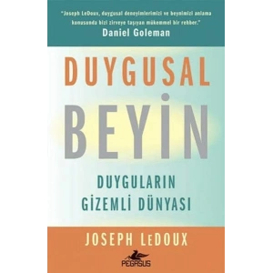 Duygusal Beyin: Duyguların Gizemli Dünyası