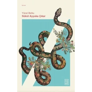 Sükut Ayyuka Çıkar