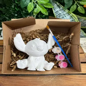 Stitch Boyama Seti