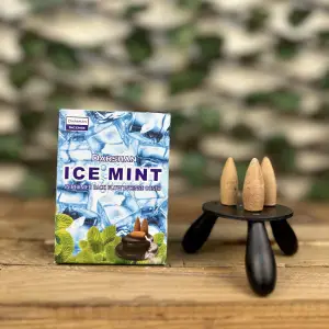 İce Mint Geri Akış Tütsüsü (10 lu paket)