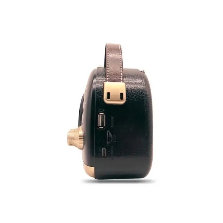 Crownwell Taşınabilir Bluetooth Retro Radyo Arizona Serisi / Black