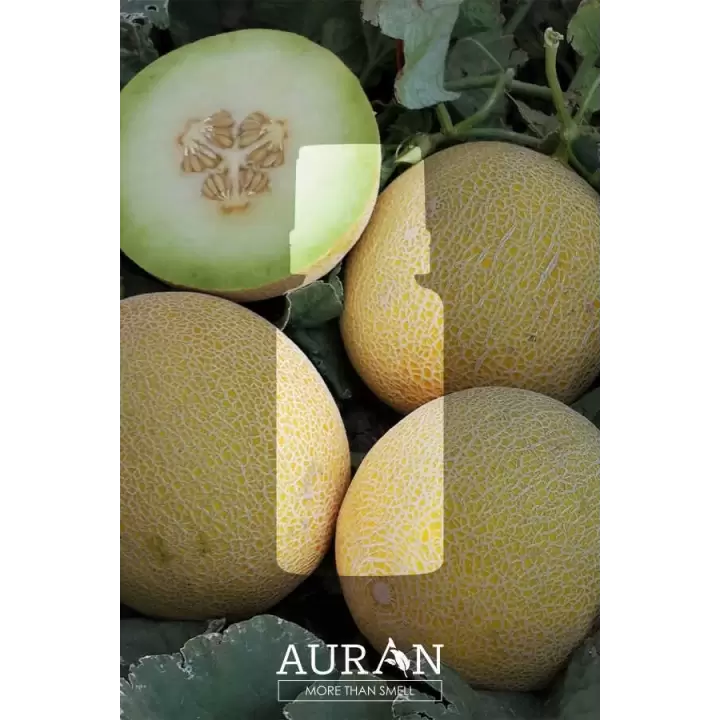 Auran Kavun Aroma Terapi Yağ