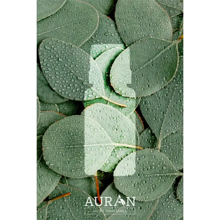 Auran Okaliptüs Aroma Terapi Yağ