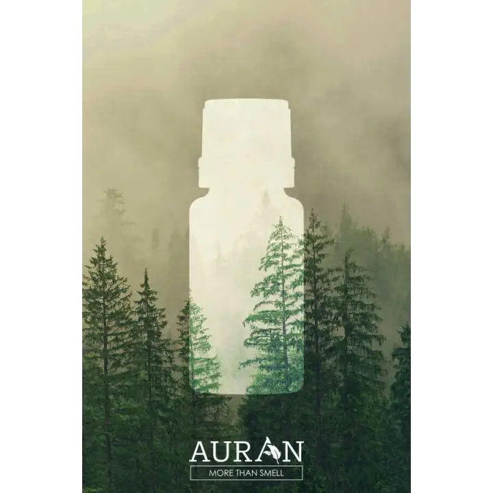 Auran Yağmur Ormanları Aroma Terapi Yağ