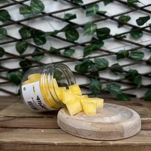 Soya Wax Kavun Koku Tableti