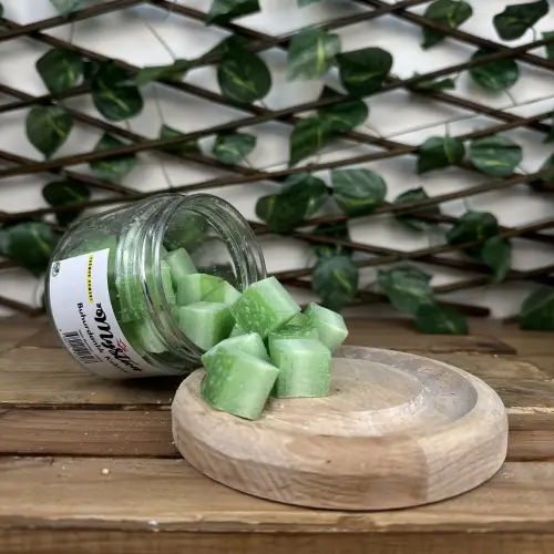 Soya Wax Yağmur Ormanı Koku Tableti