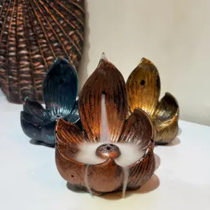 Lotus Tütsülük