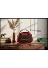 Crownwell Taşınabilir Bluetooth Retro Radyo Arizona Serisi (Metalik Kırmızı)