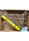 Aloe Vera Kokusu