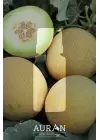 Auran Kavun Aroma Terapi Yağ