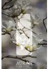 Auran Misk Aroma Terapi Yağ