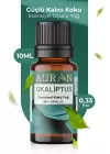 Auran Okaliptüs Aroma Terapi Yağ