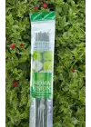 Green Apple (Yeşil Elma) Bahçe Tütsüsü