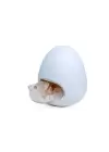 TUZ KRİSTALLİ HAVA NEMLENDİRİCİ