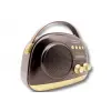Crownwell Taşınabilir Bluetooth Retro Radyo Arizona Serisi / Black