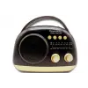 Crownwell Taşınabilir Bluetooth Retro Radyo Arizona Serisi / Black