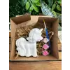 Unicorn Boyama Seti