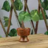 Mini Konik Tütsülük