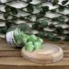 Soya Wax Yağmur Ormanı Koku Tableti