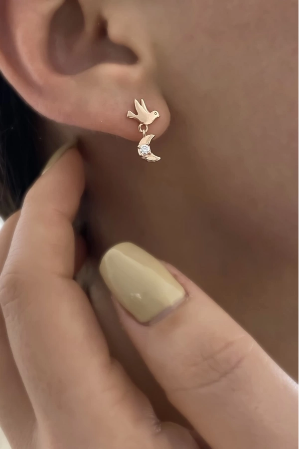 Ay Ve Yıldız Detaylı Kuş Küpe