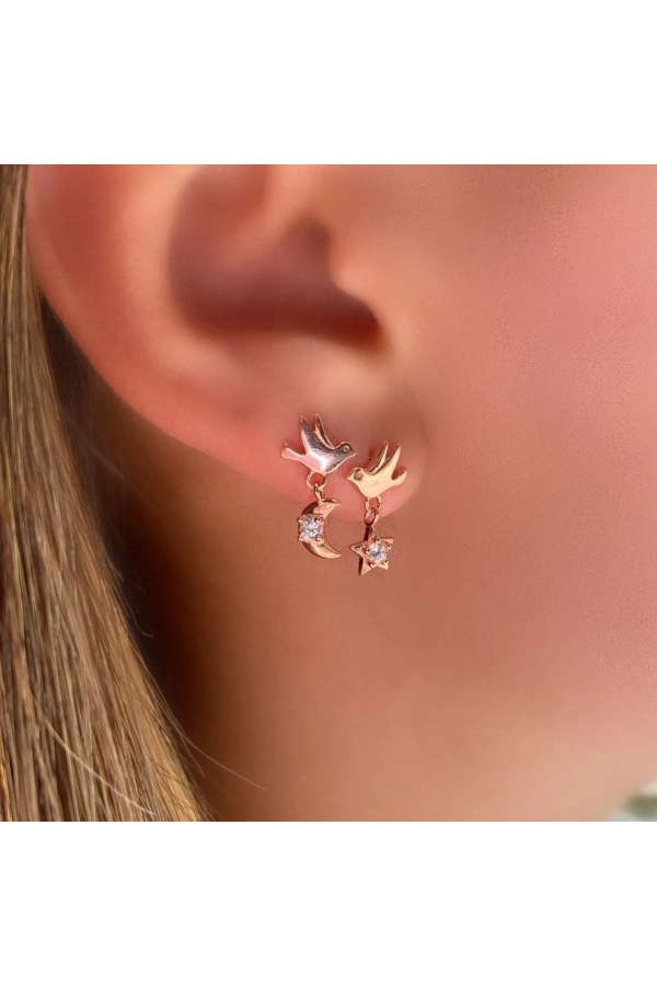 Ay Ve Yıldız Detaylı Kuş Küpe