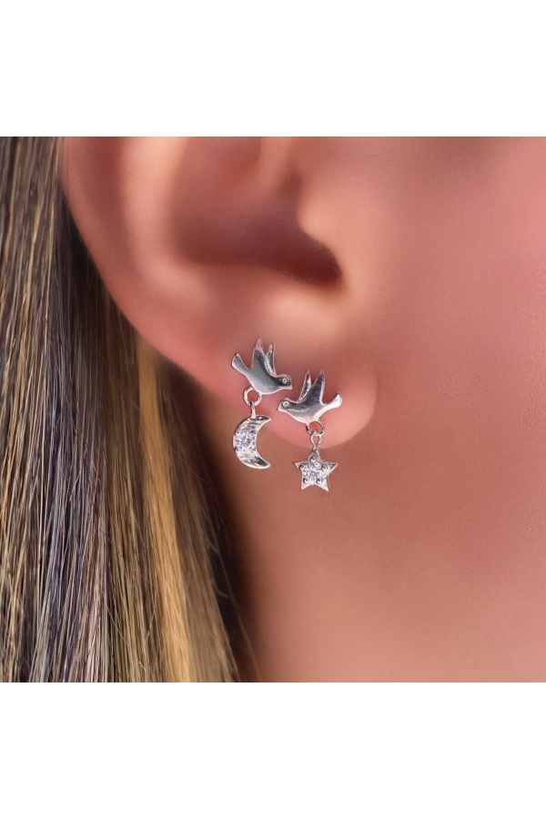 Ay Ve Yıldız Detaylı Kuş Küpe