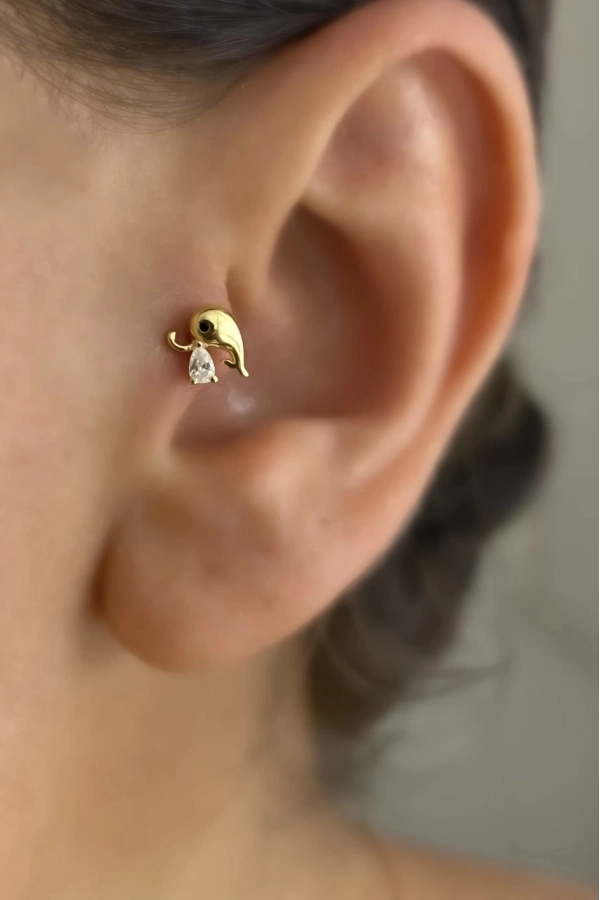 Minimal Balık Piercing Küpe