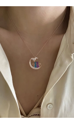 Ayda Oturan İki Kedi