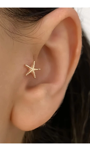 Üstü Desenli Deniz Yıldızı Piercing Küpe