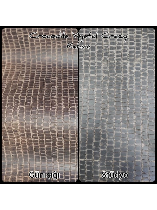 Crocodile Vejatal Crazy