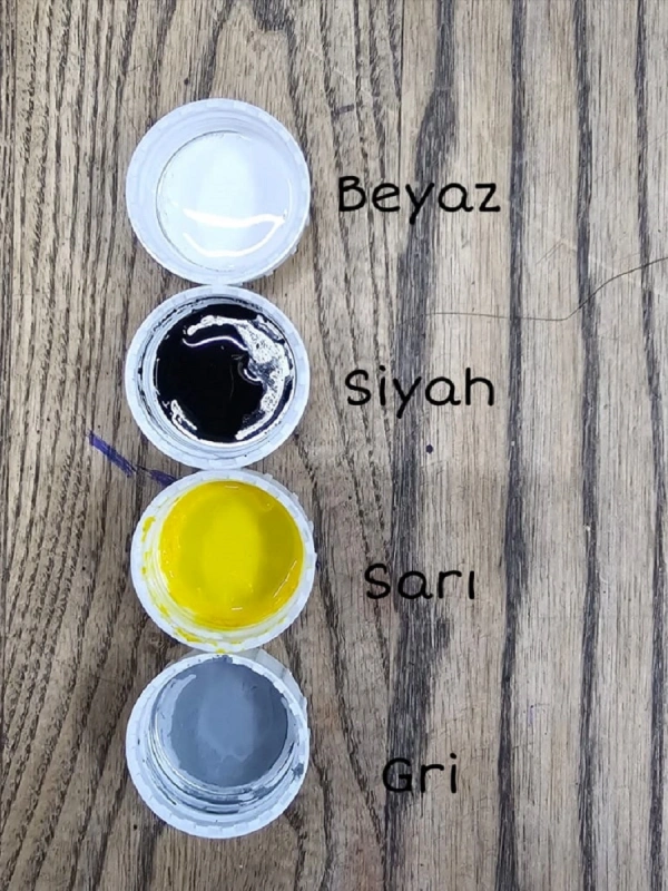 DERLY Color Likit Rötuş Boya