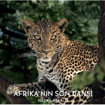 Afrika’nın Son Dansı